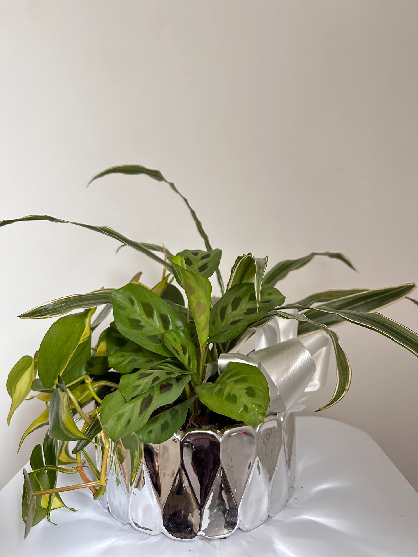 Dishgarden