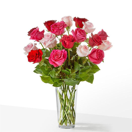 Vase & Bloom
