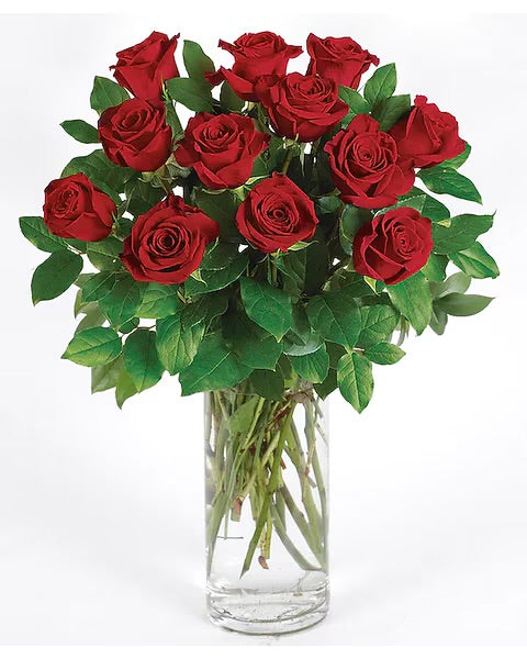 Classic Red Roses